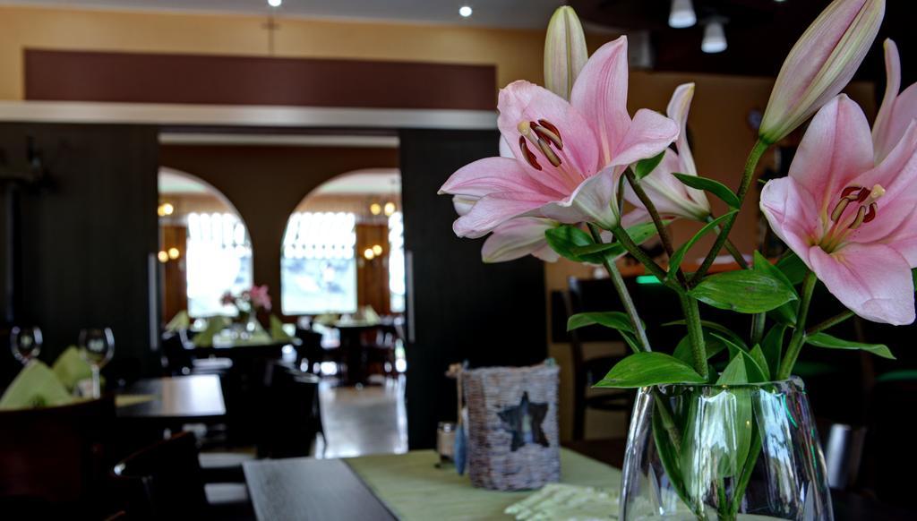 Hotel Restaurant Moselblick Wintrich Ngoại thất bức ảnh